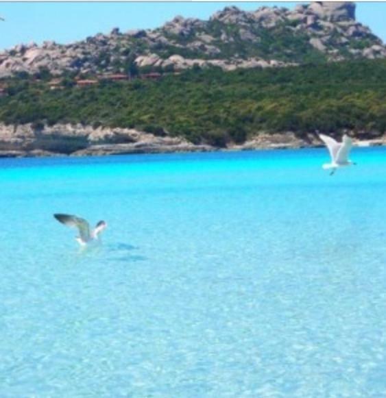 Gg Luxury Apartments - Santa Teresa Di Gallura Eksteriør bilde